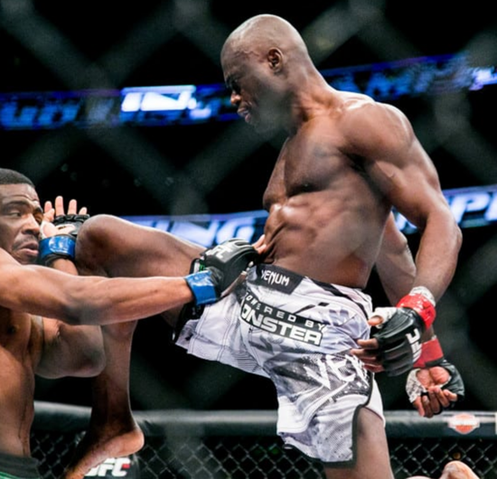UFC 배당률 분석