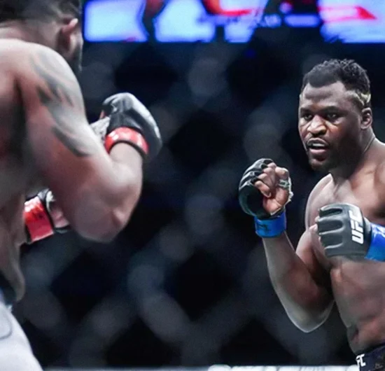 UFC 배당률 분석과 통계 기반 베팅 성공 전략 완벽 가이드