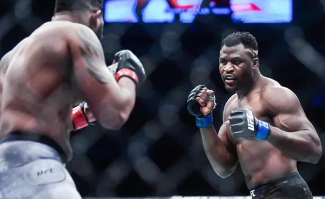 UFC 배당률 분석과 통계 기반 베팅 성공 전략 완벽 가이드