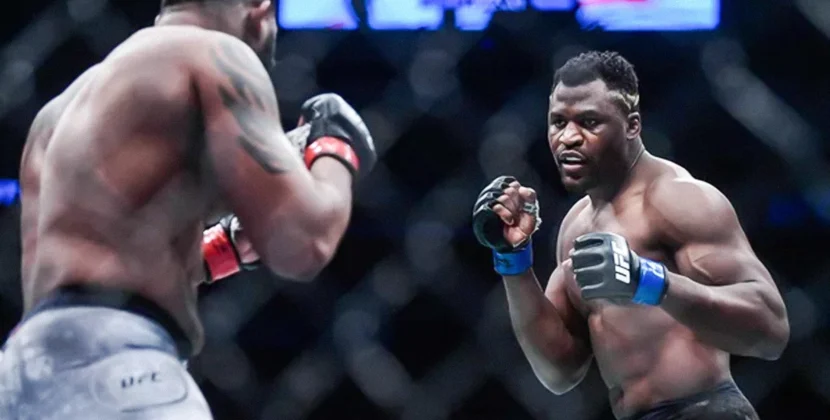 UFC 배당률 분석과 통계 기반 베팅 성공 전략 완벽 가이드
