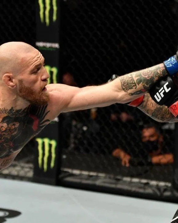 2025년 UFC 언더독 배팅 전략과 데이터 기반 약자 승리 분석