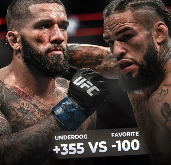 UFC 언더독 베팅 성공법칙 데이터와 배당률 분석 핵심 전략