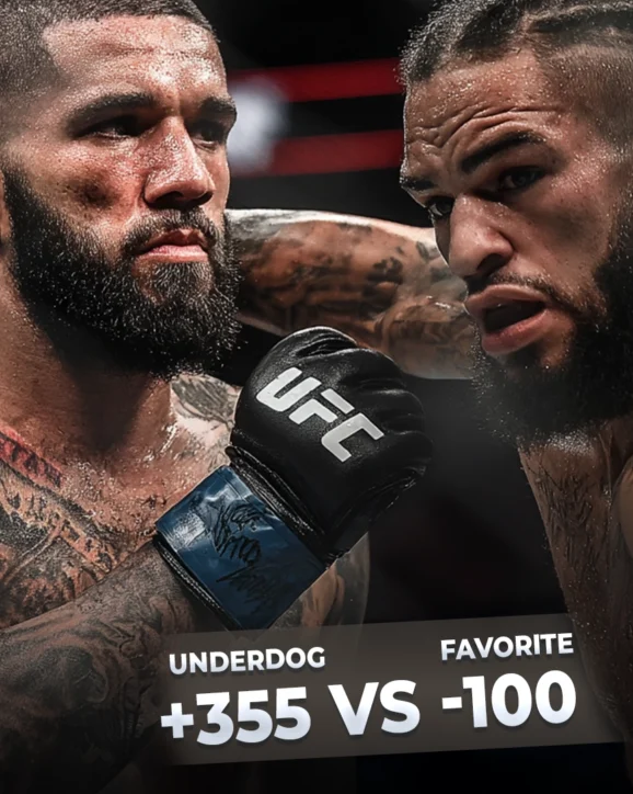 UFC 언더독 베팅 성공법칙 데이터와 배당률 분석 핵심 전략