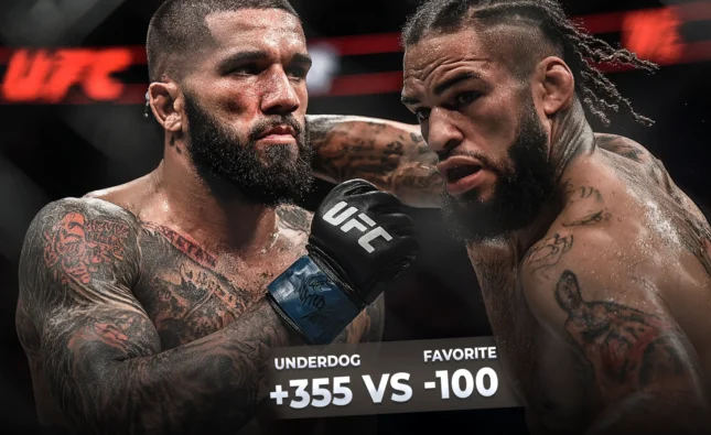 UFC 언더독 베팅 성공법칙 데이터와 배당률 분석 핵심 전략