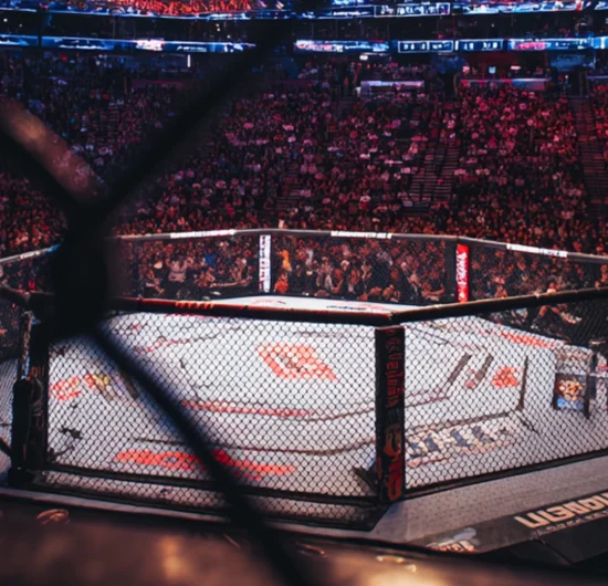 2025년 UFC 배당률 분석과 데이터 기반 베팅 전략 완벽 가이드