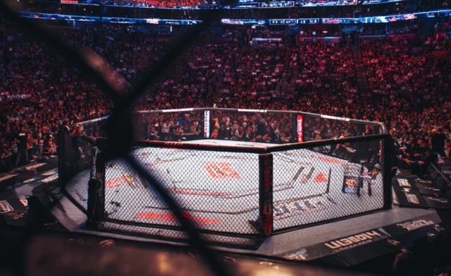 2025년 UFC 배당률 분석과 데이터 기반 베팅 전략 완벽 가이드