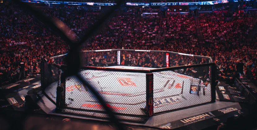 2025년 UFC 배당률 분석과 데이터 기반 베팅 전략 완벽 가이드