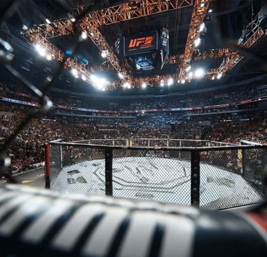 2025년 UFC 배당률 분석과 데이터 기반 베팅 전략 최신 동향