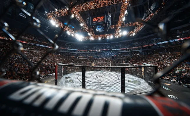 2025년 UFC 배당률 분석과 데이터 기반 베팅 전략 최신 동향